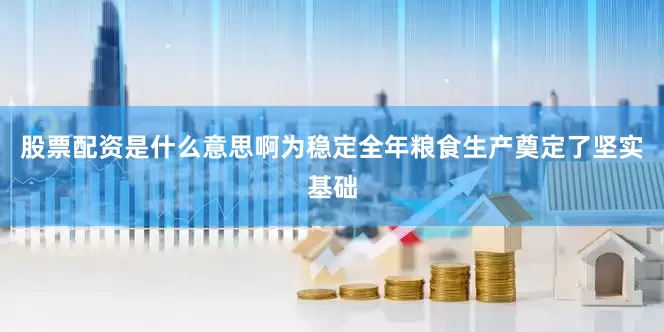 股票配资是什么意思啊为稳定全年粮食生产奠定了坚实基础